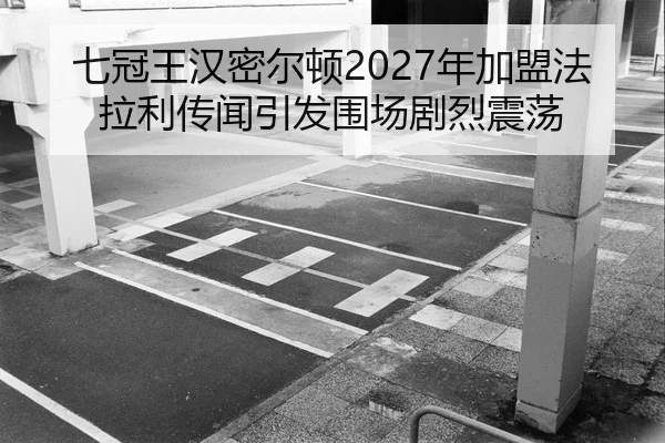 qi-guan-wang-han-mi-er-dun-nian-jia-meng-fa-la-li-chuan-wen-yin-fa-wei-chang-ju-lie-zhen-dang-3-530.jpg