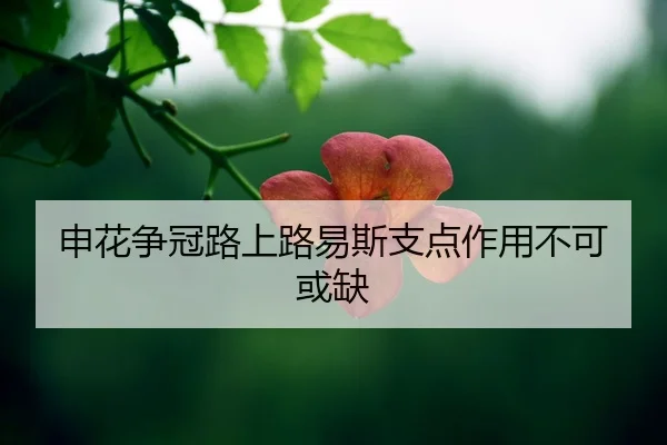 shen-hua-zheng-guan-lu-shang-lu-yi-si-zhi-dian-zuo-yong-bu-ke-huo-que-2-809.jpg
