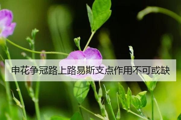 shen-hua-zheng-guan-lu-shang-lu-yi-si-zhi-dian-zuo-yong-bu-ke-huo-que-3-315.jpg