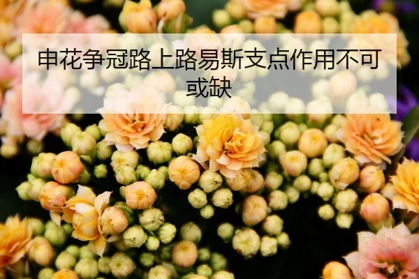 申花争冠路上路易斯支点作用不可或缺
