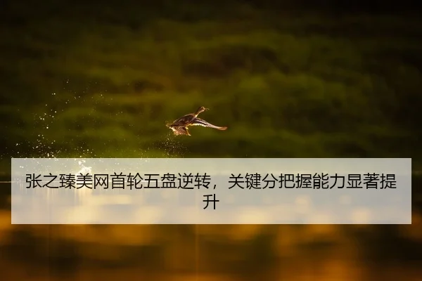 张之臻美网首轮五盘逆转，关键分把握能力显著提升