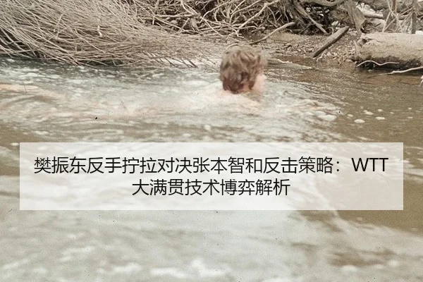 樊振东反手拧拉对决张本智和反击策略：WTT大满贯技术博弈解析